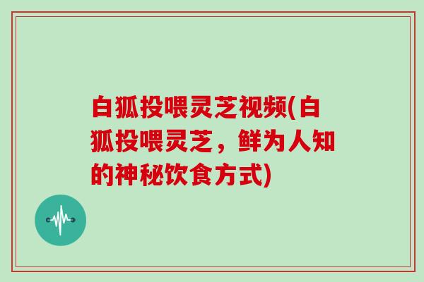 白狐投喂灵芝视频(白狐投喂灵芝，鲜为人知的神秘饮食方式)