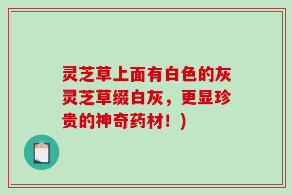 灵芝草上面有白色的灰灵芝草缀白灰，更显珍贵的神奇药材！)