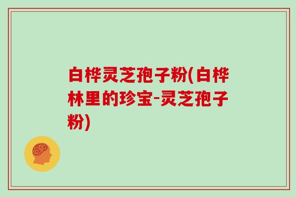 白桦灵芝孢子粉(白桦林里的珍宝-灵芝孢子粉)