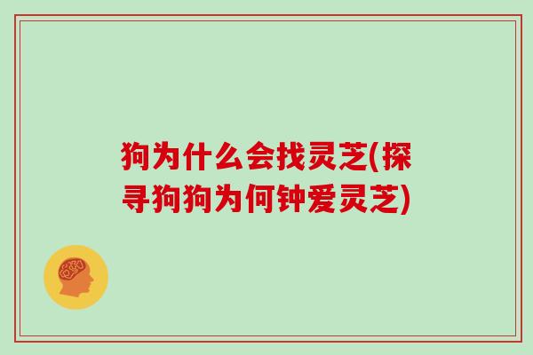 狗为什么会找灵芝(探寻狗狗为何钟爱灵芝)