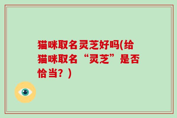 猫咪取名灵芝好吗(给猫咪取名“灵芝”是否恰当？)