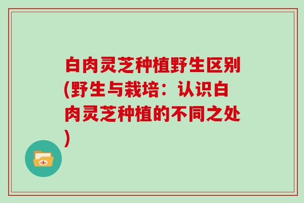 白肉灵芝种植野生区别(野生与栽培：认识白肉灵芝种植的不同之处)