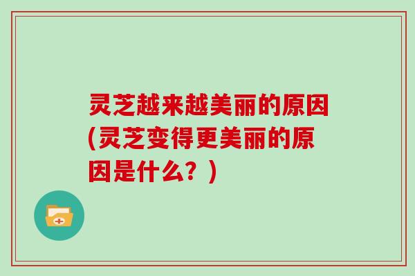 灵芝越来越美丽的原因(灵芝变得更美丽的原因是什么？)