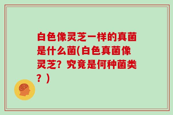 白色像灵芝一样的真菌是什么菌(白色真菌像灵芝？究竟是何种菌类？)