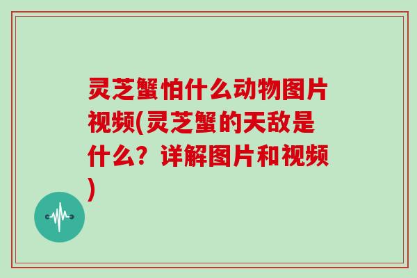 灵芝蟹怕什么动物图片视频(灵芝蟹的天敌是什么？详解图片和视频)