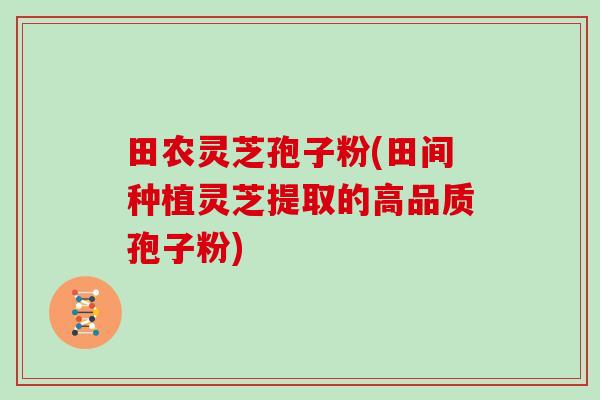 田农灵芝孢子粉(田间种植灵芝提取的高品质孢子粉)