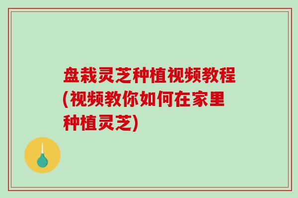 盘栽灵芝种植视频教程(视频教你如何在家里种植灵芝)