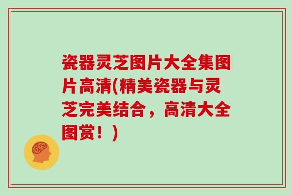 瓷器灵芝图片大全集图片高清(精美瓷器与灵芝完美结合，高清大全图赏！)