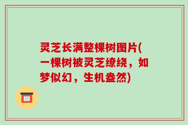 灵芝长满整棵树图片(一棵树被灵芝缭绕，如梦似幻，生机盎然)