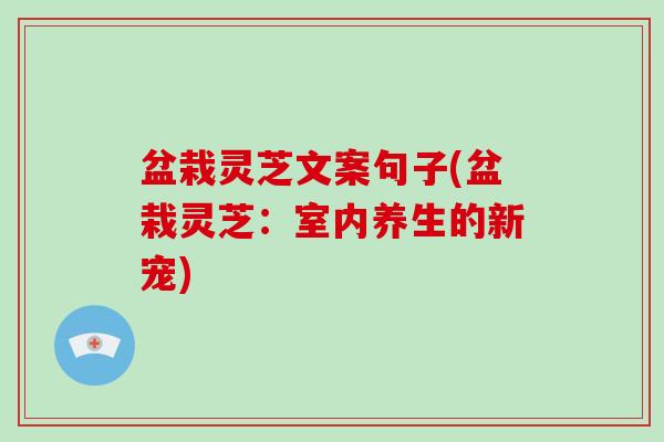 盆栽灵芝文案句子(盆栽灵芝：室内养生的新宠)