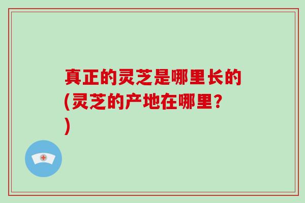 真正的灵芝是哪里长的(灵芝的产地在哪里？)