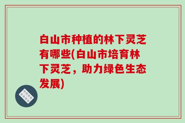 白山市种植的林下灵芝有哪些(白山市培育林下灵芝，助力绿色生态发展)