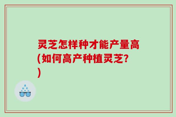 灵芝怎样种才能产量高(如何高产种植灵芝？)