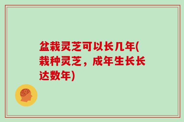 盆栽灵芝可以长几年(栽种灵芝，成年生长长达数年)