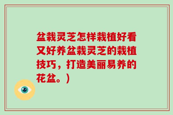 盆栽灵芝怎样栽植好看又好养盆栽灵芝的栽植技巧，打造美丽易养的花盆。)