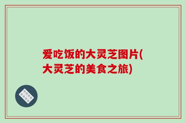 爱吃饭的大灵芝图片(大灵芝的美食之旅)