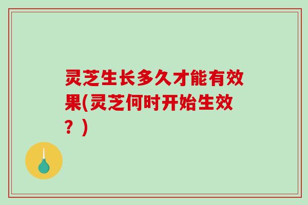 灵芝生长多久才能有效果(灵芝何时开始生效？)