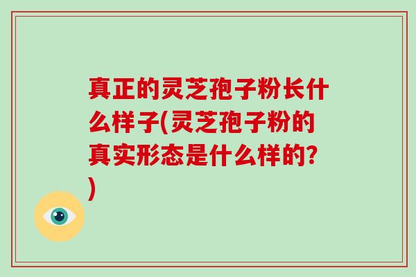 真正的灵芝孢子粉长什么样子(灵芝孢子粉的真实形态是什么样的？)