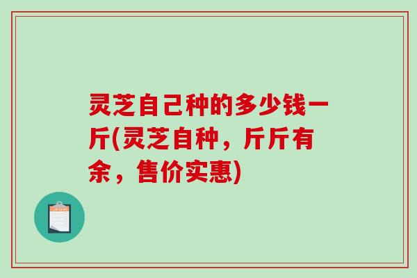 灵芝自己种的多少钱一斤(灵芝自种，斤斤有余，售价实惠)