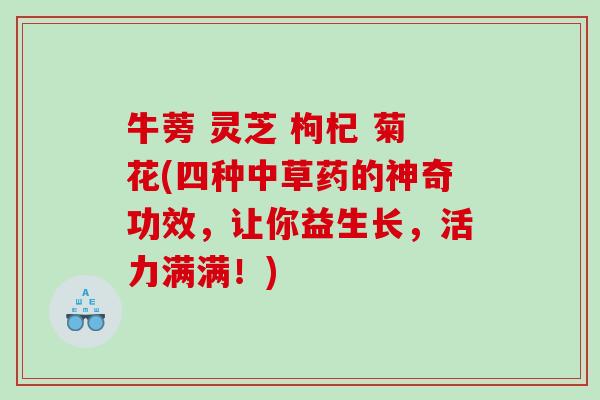 牛蒡 灵芝 枸杞 菊花(四种中草药的神奇功效，让你益生长，活力满满！)