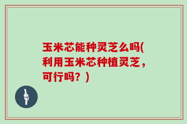 玉米芯能种灵芝么吗(利用玉米芯种植灵芝，可行吗？)