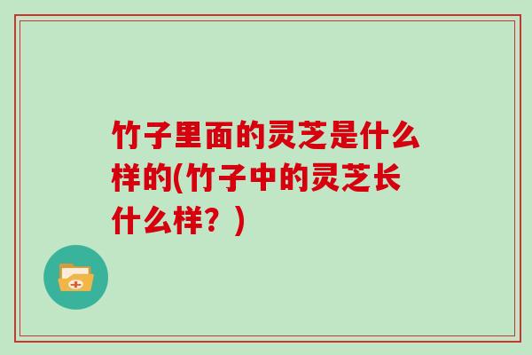 竹子里面的灵芝是什么样的(竹子中的灵芝长什么样？)