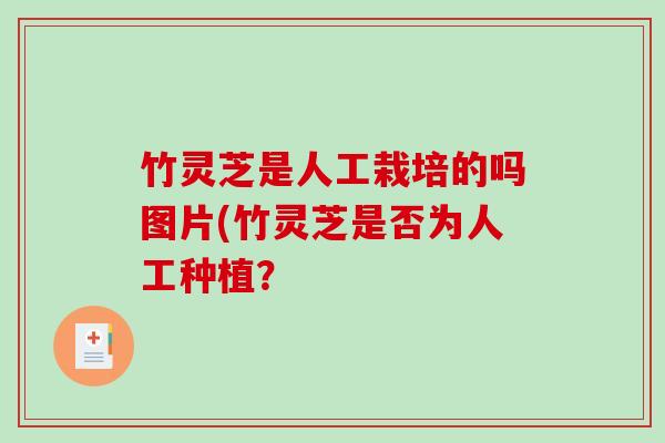 竹灵芝是人工栽培的吗图片(竹灵芝是否为人工种植？