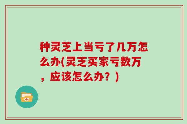 种灵芝上当亏了几万怎么办(灵芝买家亏数万，应该怎么办？)