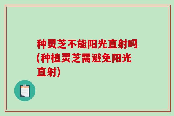 种灵芝不能阳光直射吗(种植灵芝需避免阳光直射)