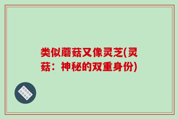 类似蘑菇又像灵芝(灵菇：神秘的双重身份)
