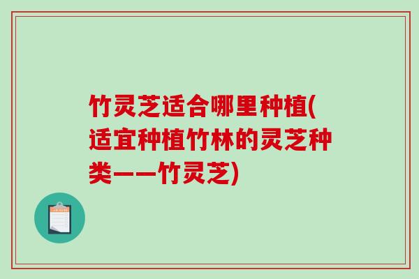 竹灵芝适合哪里种植(适宜种植竹林的灵芝种类——竹灵芝)