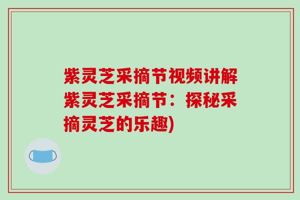 紫灵芝采摘节视频讲解紫灵芝采摘节：探秘采摘灵芝的乐趣)