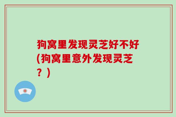 狗窝里发现灵芝好不好(狗窝里意外发现灵芝？)