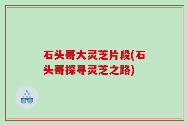 石头哥大灵芝片段(石头哥探寻灵芝之路)