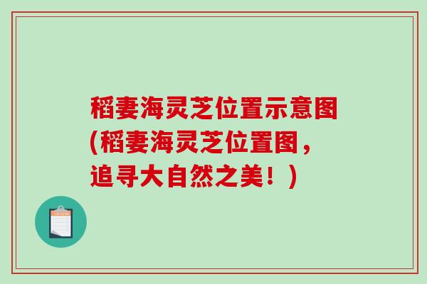 稻妻海灵芝位置示意图(稻妻海灵芝位置图，追寻大自然之美！)