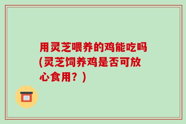 用灵芝喂养的鸡能吃吗(灵芝饲养鸡是否可放心食用？)