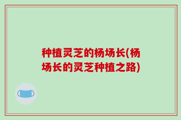 种植灵芝的杨场长(杨场长的灵芝种植之路)