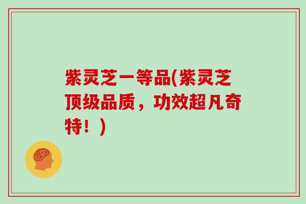 紫灵芝一等品(紫灵芝品质，功效超凡奇特！)