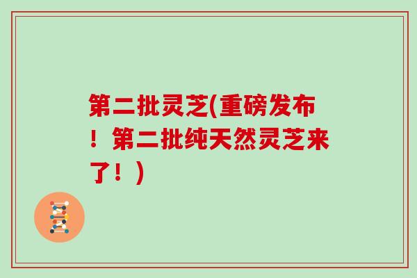 第二批灵芝(重磅发布！第二批纯天然灵芝来了！)