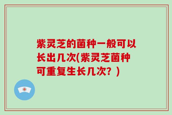 紫灵芝的菌种一般可以长出几次(紫灵芝菌种可重复生长几次？)