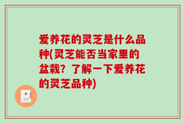 爱养花的灵芝是什么品种(灵芝能否当家里的盆栽？了解一下爱养花的灵芝品种)