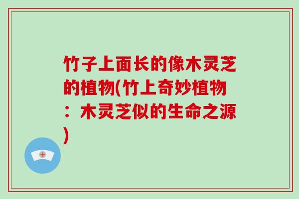 竹子上面长的像木灵芝的植物(竹上奇妙植物：木灵芝似的生命之源)