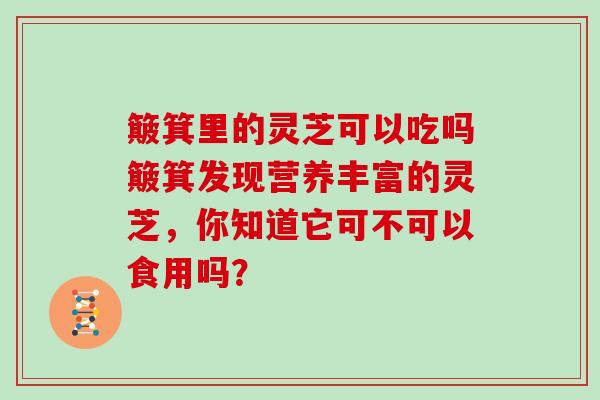 簸箕里的灵芝可以吃吗簸箕发现营养丰富的灵芝，你知道它可不可以食用吗？
