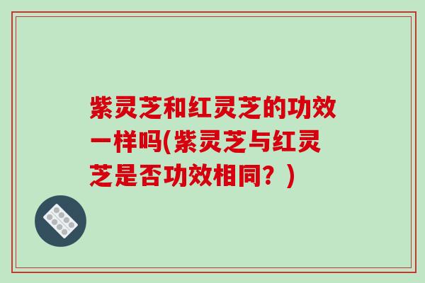 紫灵芝和红灵芝的功效一样吗(紫灵芝与红灵芝是否功效相同？)