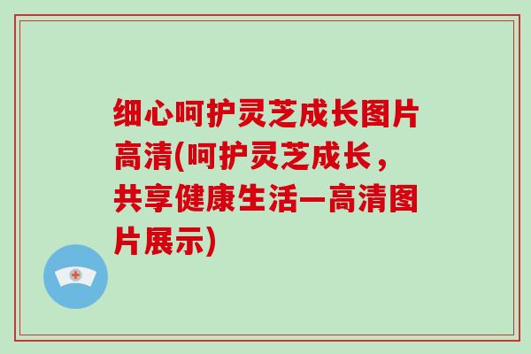 细心呵护灵芝成长图片高清(呵护灵芝成长，共享健康生活—高清图片展示)
