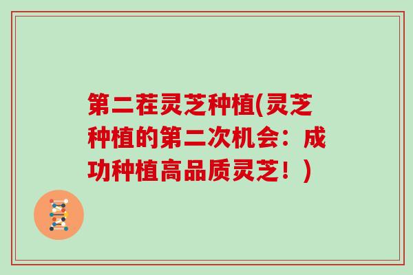 第二茬灵芝种植(灵芝种植的第二次机会：成功种植高品质灵芝！)