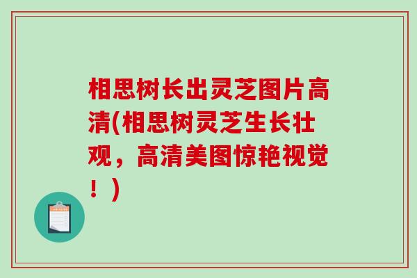 相思树长出灵芝图片高清(相思树灵芝生长壮观，高清美图惊艳视觉！)