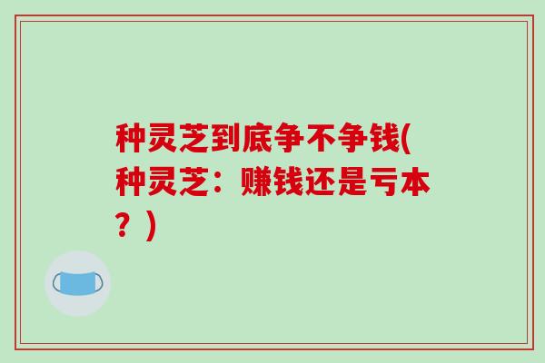 种灵芝到底争不争钱(种灵芝：赚钱还是亏本？)