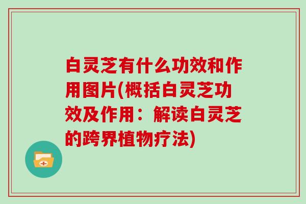 白灵芝有什么功效和作用图片(概括白灵芝功效及作用：解读白灵芝的跨界植物疗法)