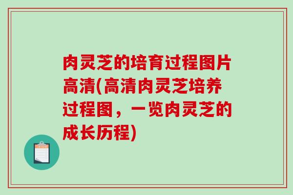 肉灵芝的培育过程图片高清(高清肉灵芝培养过程图，一览肉灵芝的成长历程)
